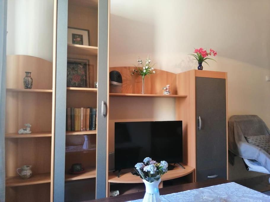 Apartment Micaela Пула Екстер'єр фото